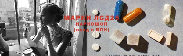 стафф Бородино