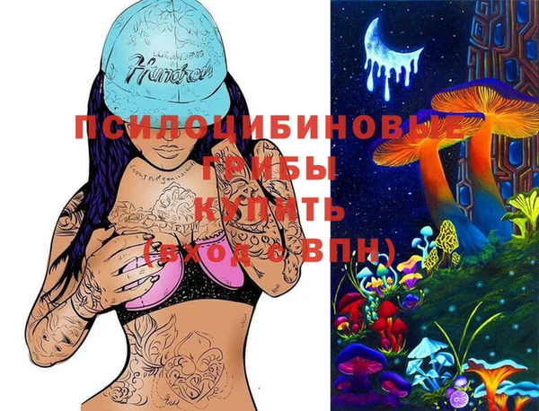 стафф Бородино