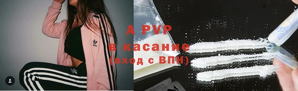 стафф Бородино