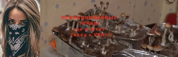 кокаин Богданович