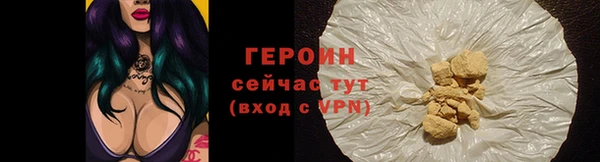 гидра Тайга
