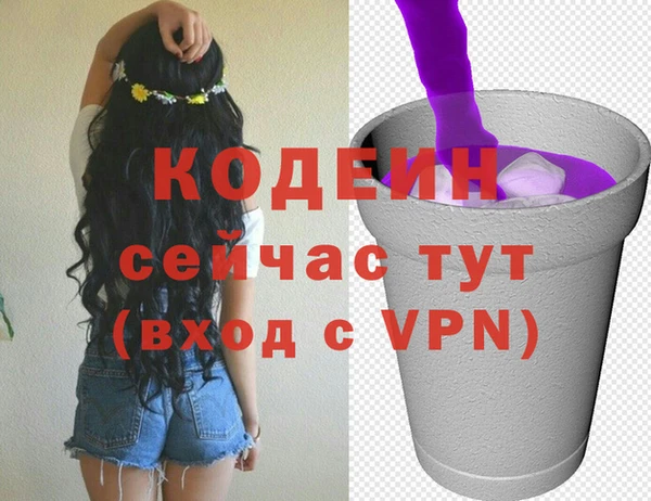 spice Богородск