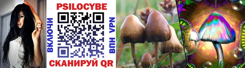 Галлюциногенные грибы Psilocybine cubensis Мелеуз