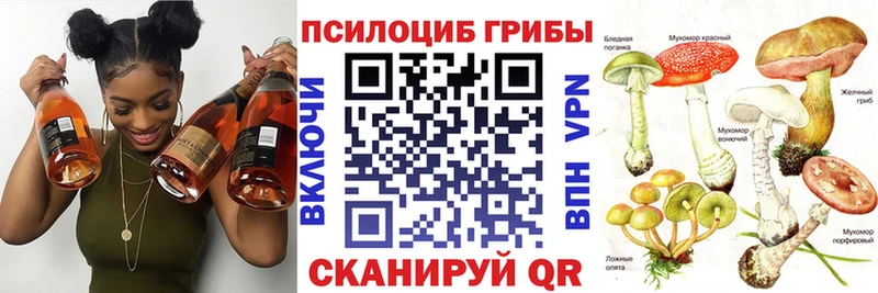 Галлюциногенные грибы Cubensis  как найти наркотики  Мелеуз 